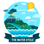 water cycle