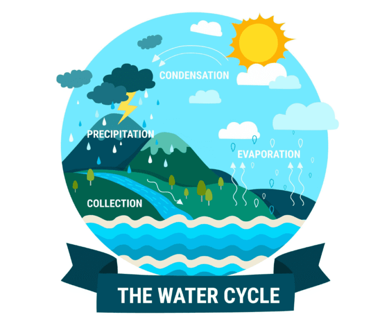 water cycle