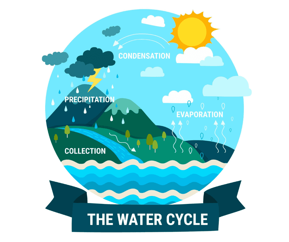 water cycle